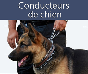 Conducteurs de chien